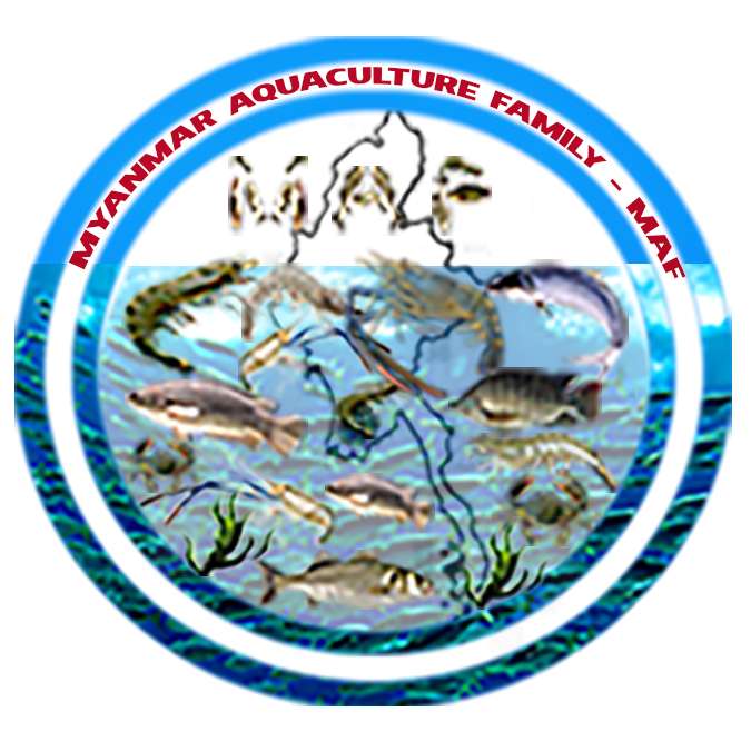 Myanmar Aquaculture Family - MAF logo